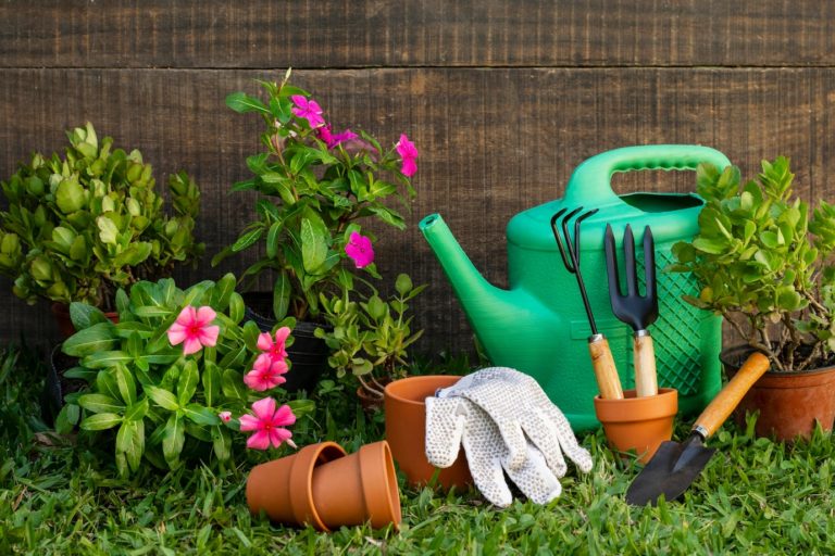 When is the best time to water your garden
