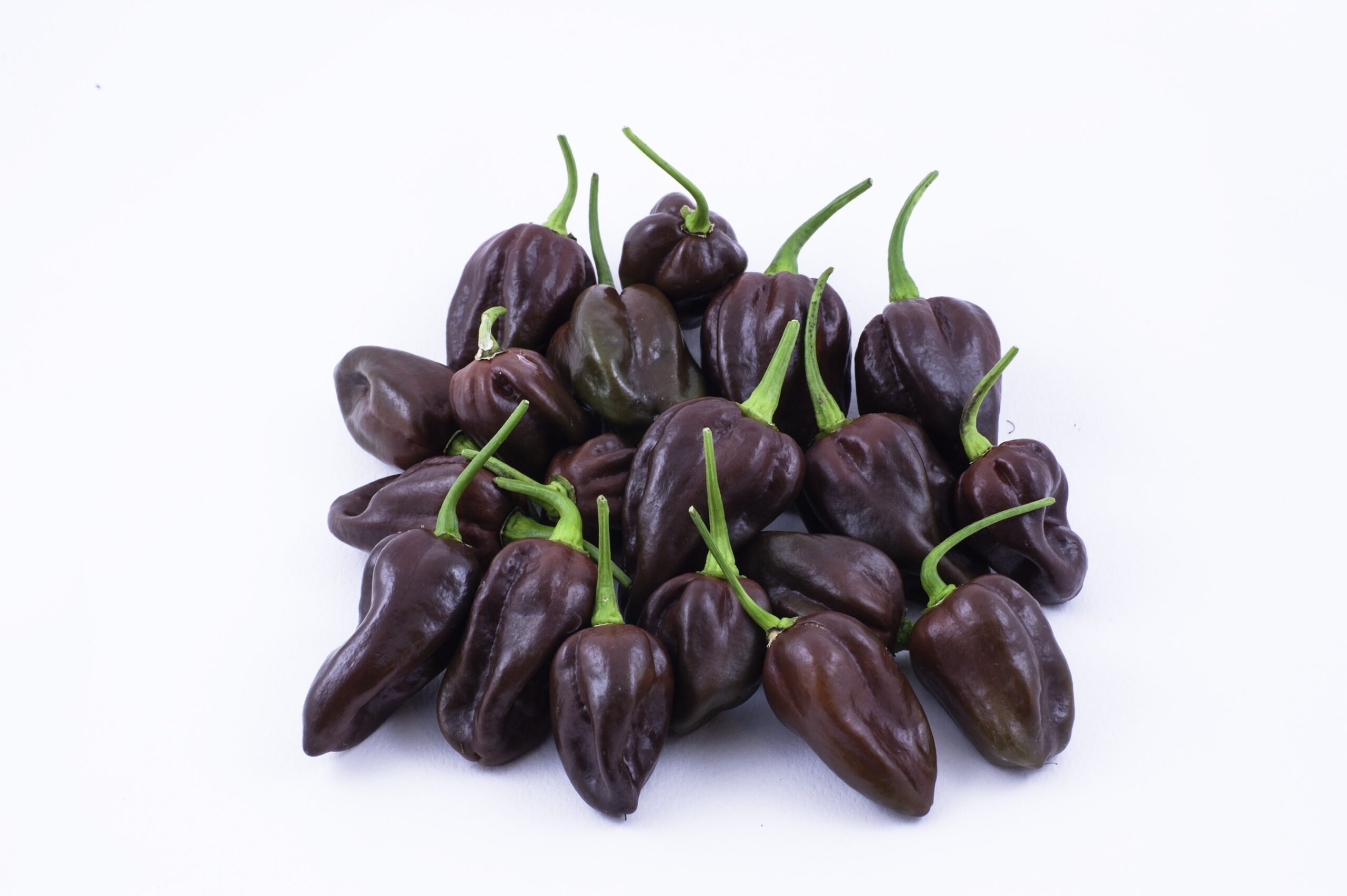 Chocolate Habanero peppers