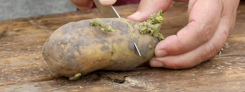 Cutting Your Potato into Pieces