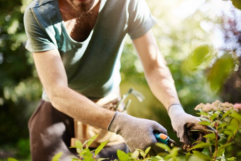 6 Essential Gardening Tips for People Who Don’t Have a Lot of Time
