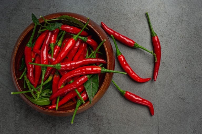 How to Grow Chili Peppers Indoors: The Ultimate Guide
