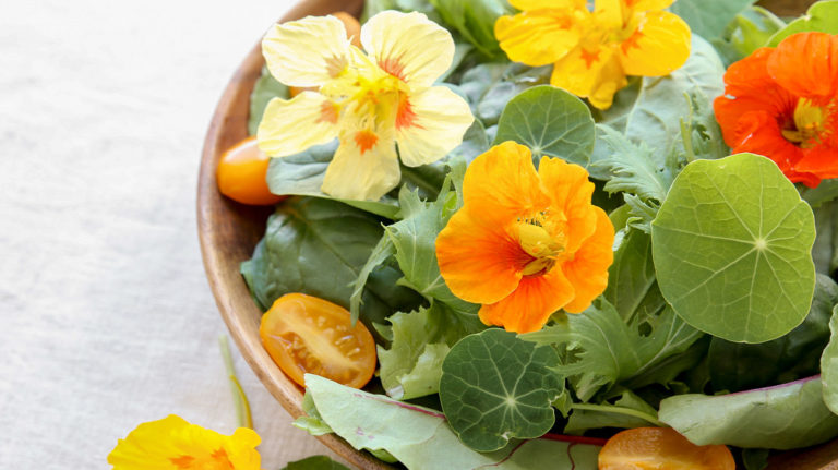 10 Beautiful and Delicious Edible Flowers You Can Grow in Your Garden