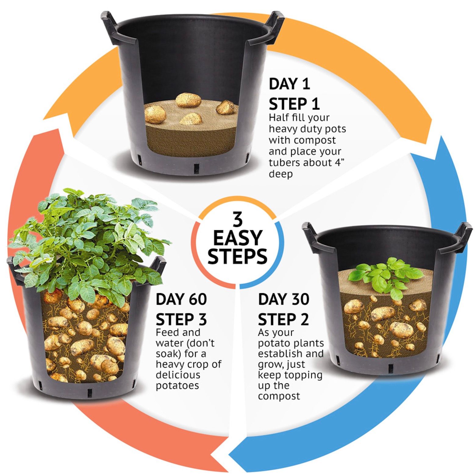 How Far Apart to Plant Potatoes? Best tips you can get